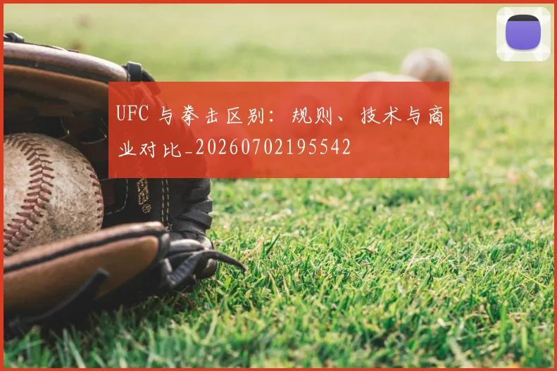 UFC 与拳击区别：规则、技术与商业对比_20260702195542