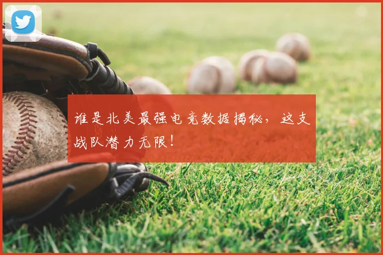 谁是北美最强电竞数据揭秘，这支战队潜力无限！
